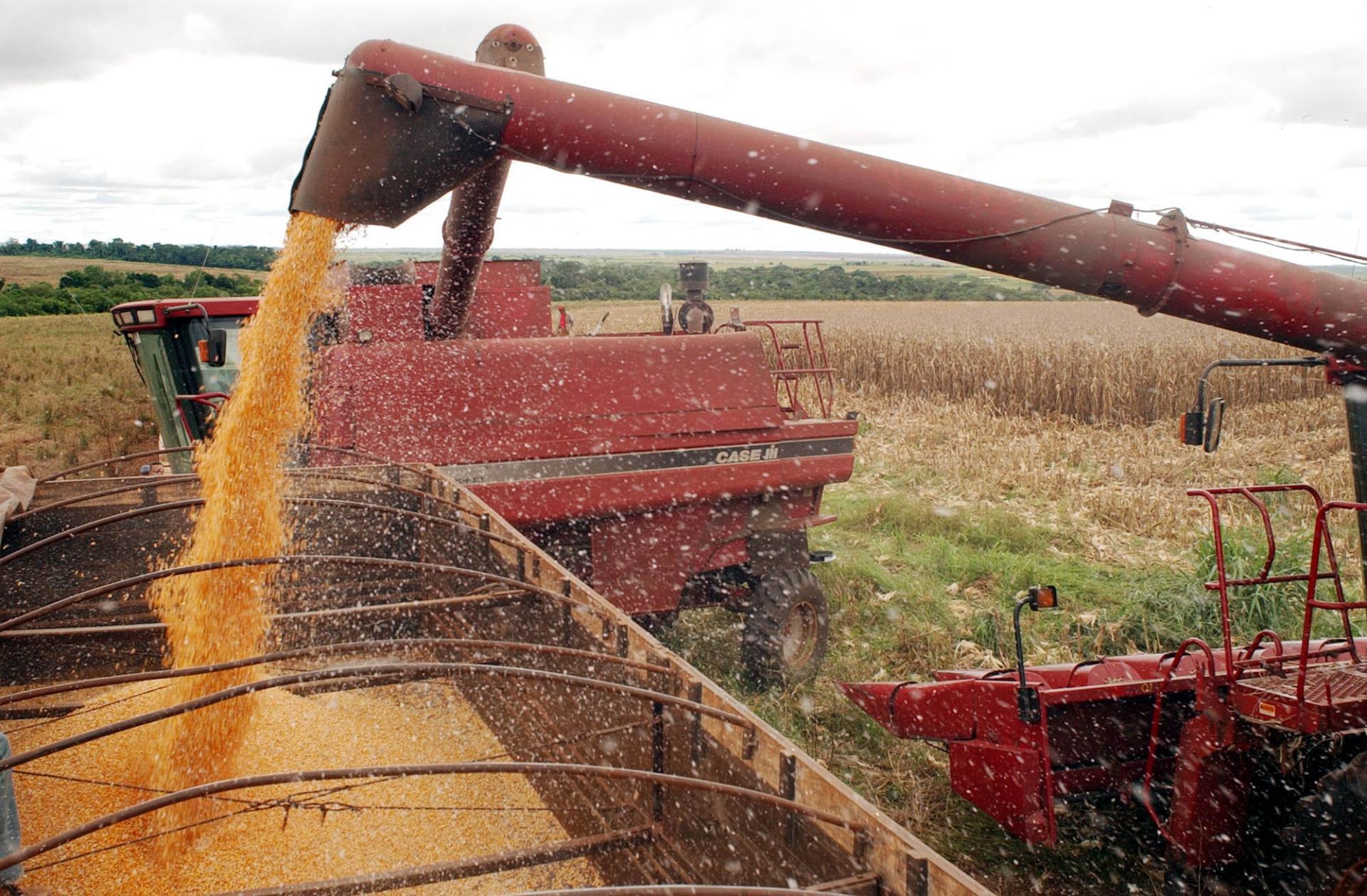 Agro gera mais empregos e especialistas preveem efeito positivo na economia