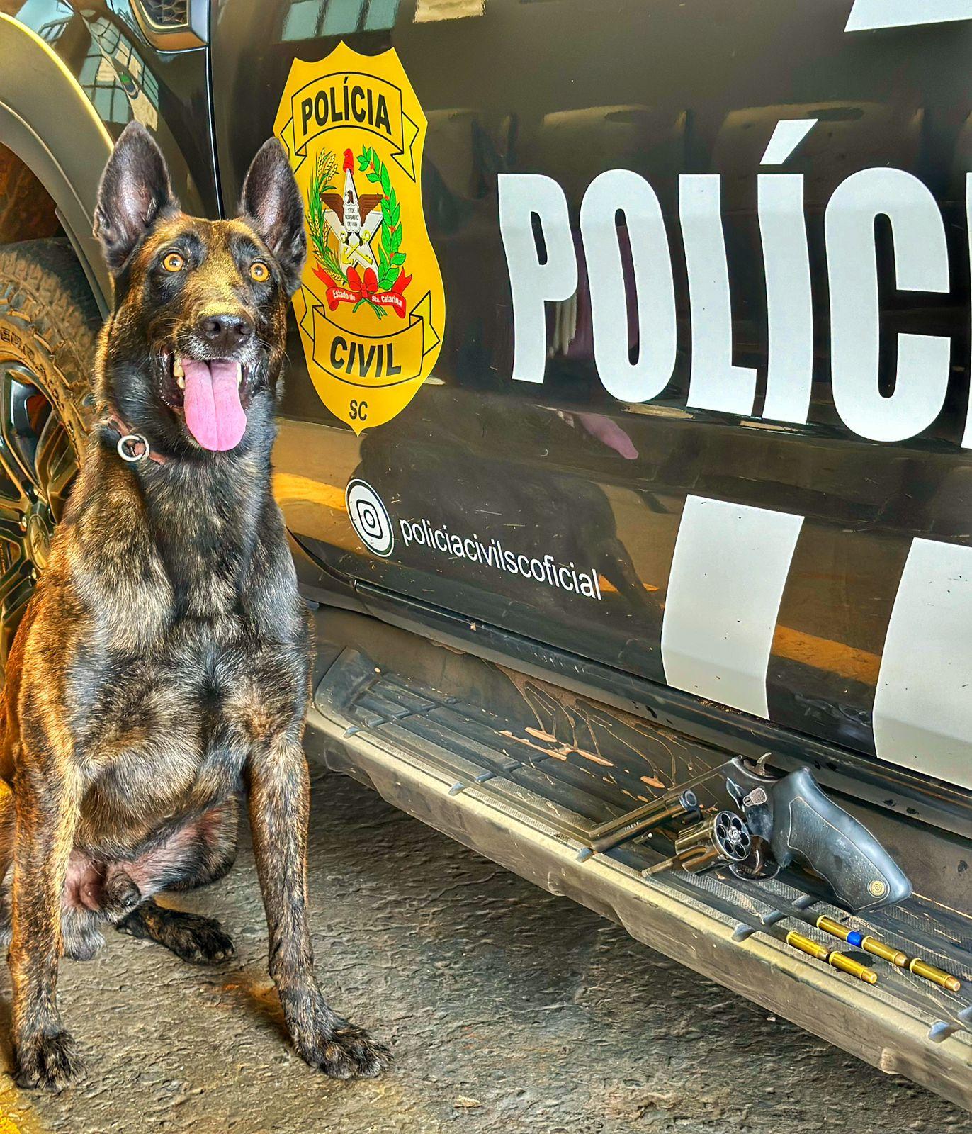 POLÍCIA CIVIL PRENDE HOMEM POR POSSE IRREGULAR DE ARMA DE FOGO E MUNIÇÕES
