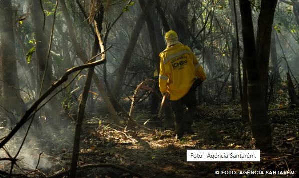 Amazônia tem o maior número de queimadas e incêndios em 17 anos