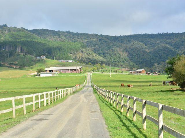 Epagri apresenta os resultados do agronegócio catarinense em 2024