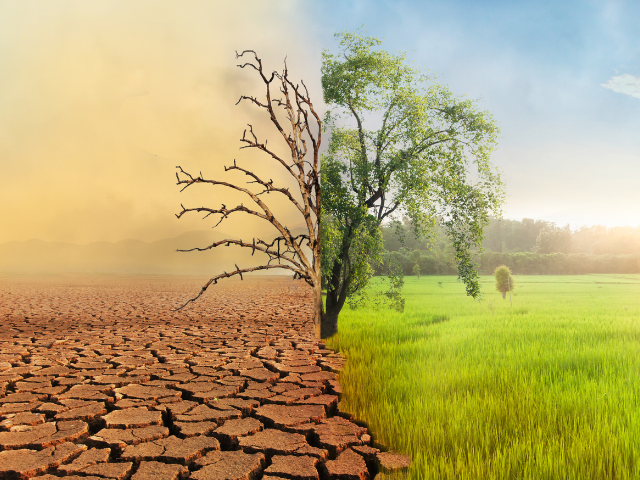 Artigo – Semana de conscientização sobre mudanças climáticas: hora de parar e refletir