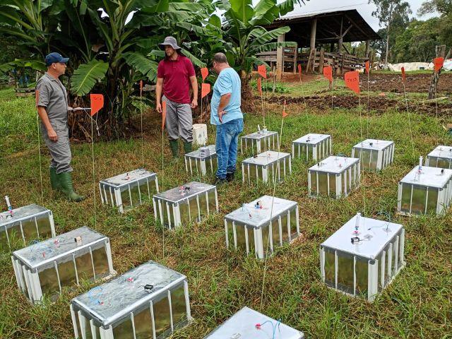 Epagri monitora a emissão de gases do efeito estufa na pecuária de SC