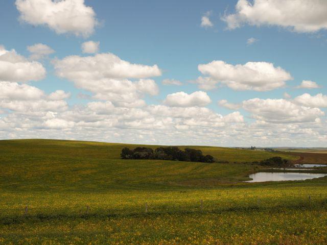 Epagri/Cepa mapeia preço das terras agrícolas em Santa Catarina