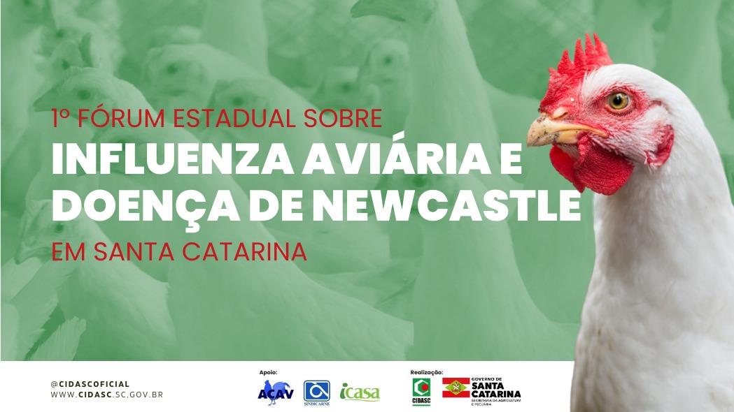 AVISO DE PAUTA: Santa Catarina promove o 1º Fórum Estadual sobre Influenza Aviária e Doença de Newcastle nesta terça
