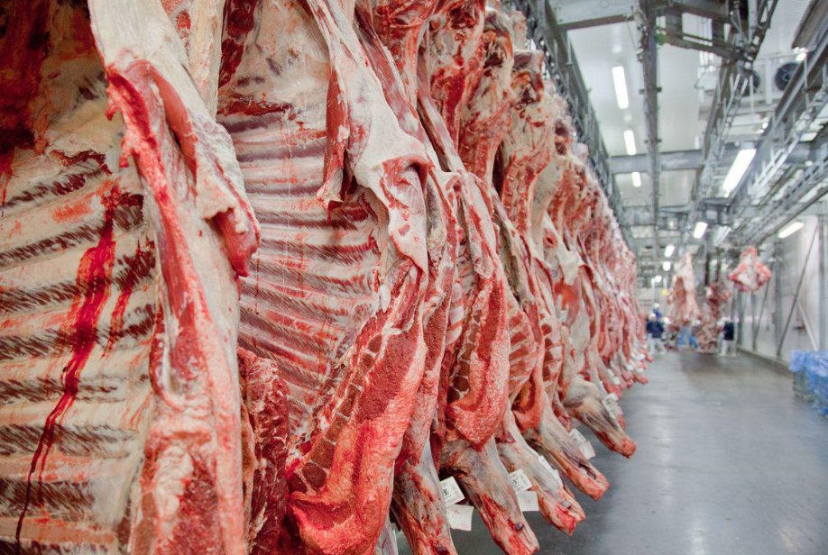 Brasil deve bater recorde de exportação de carne bovina mesmo sem os EUA, diz analista