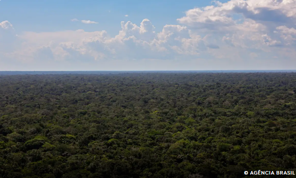 Organizações sociais propõem plano para investimentos na Amazônia