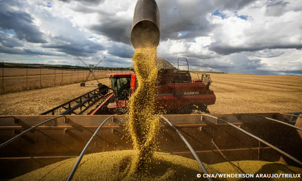 Queda no preço dos alimentos vai permanecer, diz ministro