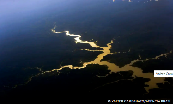 Captura de carbono na Amazônia está em risco, diz estudo