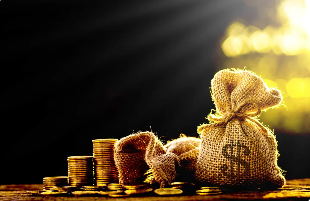 Ibov sobe 20% no ano, dólar cai e Bitcoin mira topo histórico; o que vem pela frente?