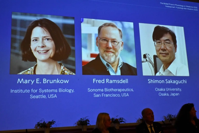 Nobel de Medicina premia cientistas que descobriram “células guardiãs”