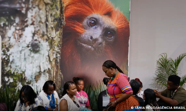 COP30: financiamento, transição e adaptação são centro das negociações