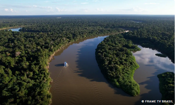 Redução do desmatamento na Amazônia foi histórica, avalia ICMBio