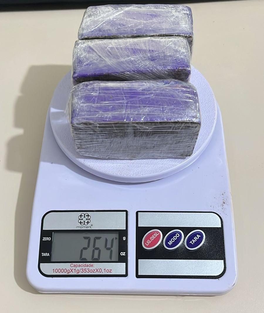 SÃO DOMINGOS/SC – POLÍCIA CIVIL APREENDE MACONHA ESCONDIDA EM CARRO ELÉTRICO INFANTIL E EFETUA PRISÃO EM FLAGRANTE