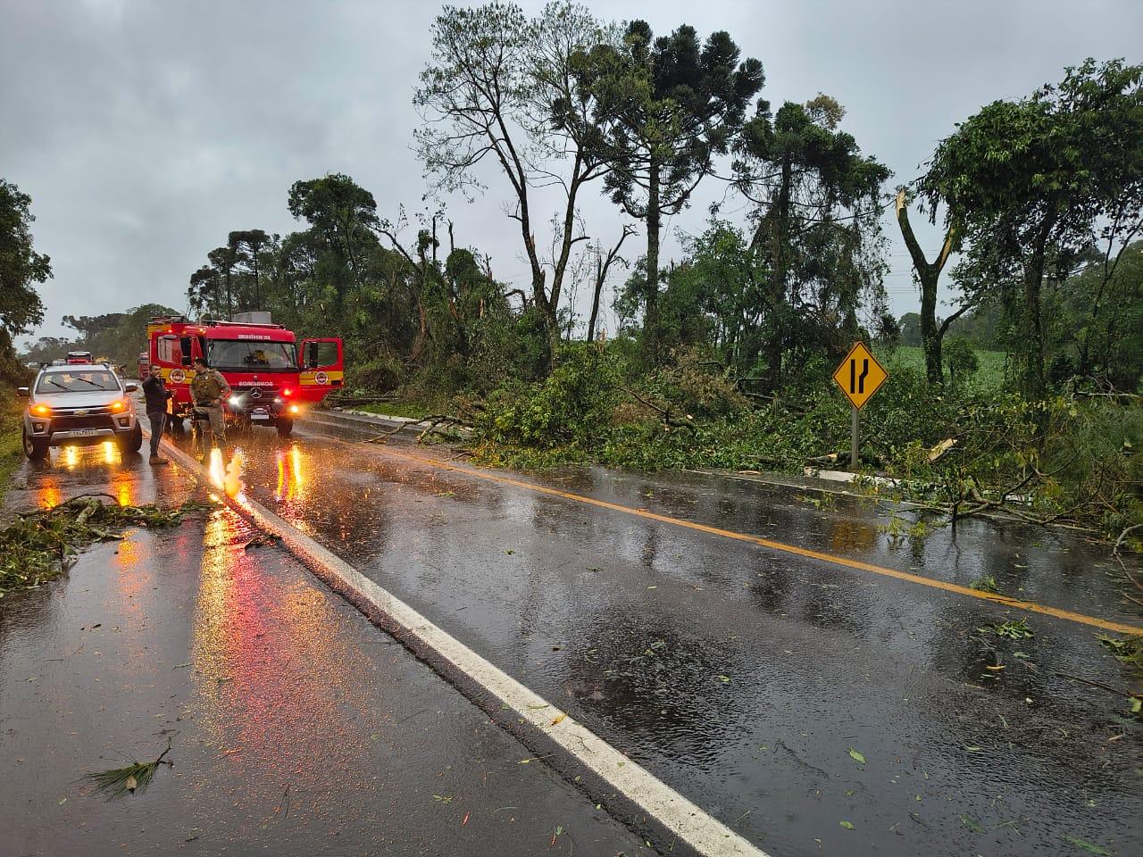 Temporal: BR-282 fica bloqueada entre Xanxerê e Faxinal dos Guedes após quedas de árvores na tarde desta sexta-feira