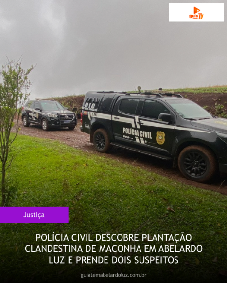 Operação da Polícia Civil descobre plantação clandestina de maconha no interior de Abelardo Luz/SC