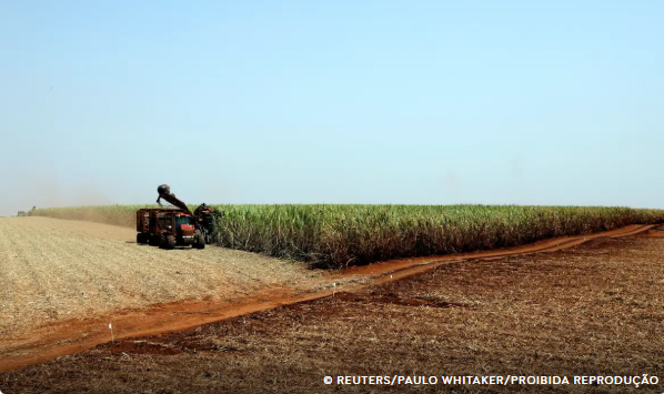 IBGE prevê safra recorde de 346 milhões de toneladas em 2025