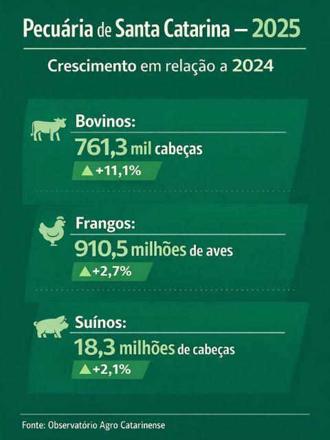 Pecuária de Santa Catarina fecha 2025 com números históricos