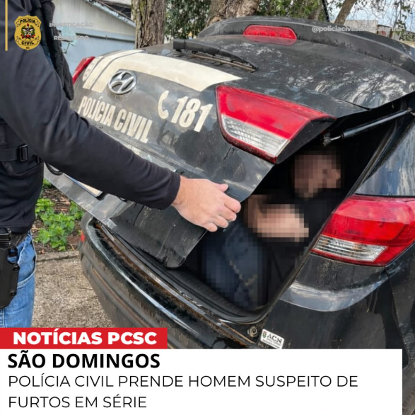 São Domingos: Polícia Civil prende homem suspeito de furtos em série