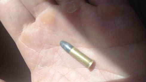 Polícia Militar atende ocorrência de violência doméstica, lesão corporal e apreende munição em São Lourenço do Oeste