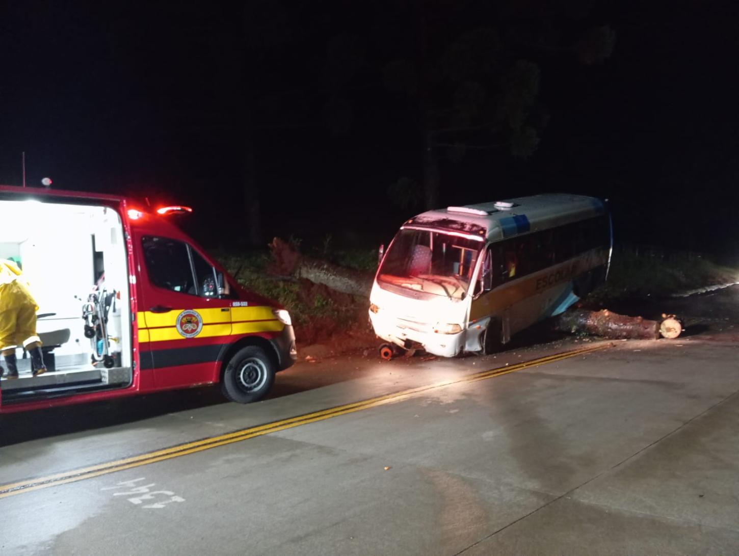 Queda de árvore na SC-305 provoca acidente com micro-ônibus emplacado em São Domingos
