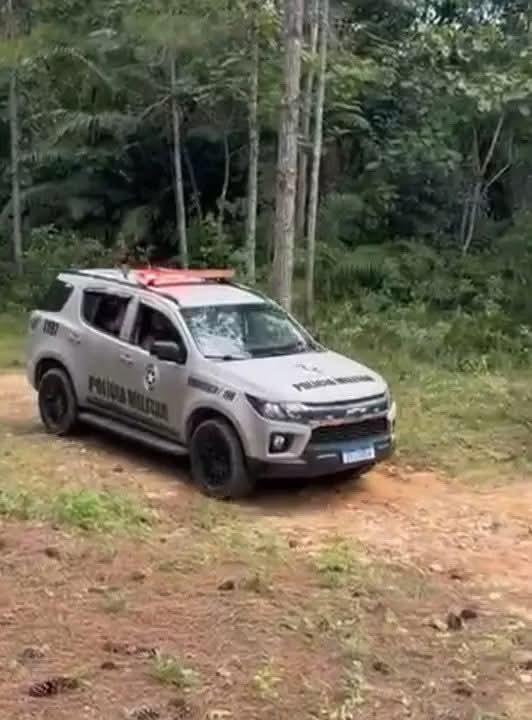 Mulher é morta, tem o rosto desfigurado e jogada de um penhasco em SC