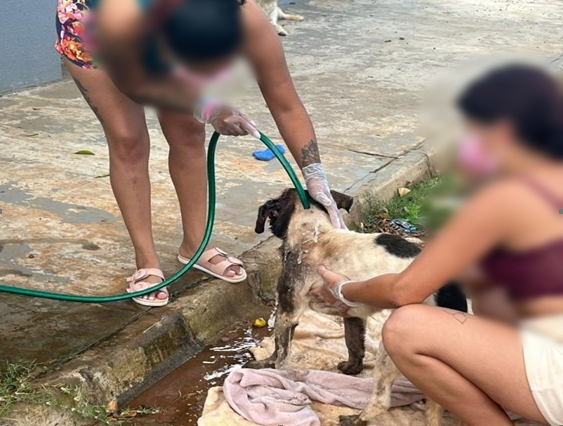 OCORRÊNCIAS DE DESTAQUE ATENDIDAS PELA 3ª COMPANHIA DE POLICIA MILITAR DE SÃO LOURENÇO DO OESTE