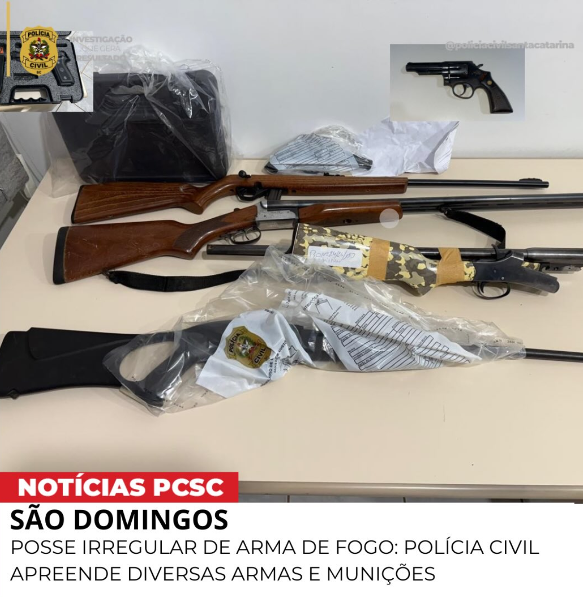 SAO DOMINGOS:  POSSE IRREGULAR DE ARMA DE FOGO: POLÍCIA CIVIL APREENDE DIVERSAS ARMAS E MUNIÇÕES
