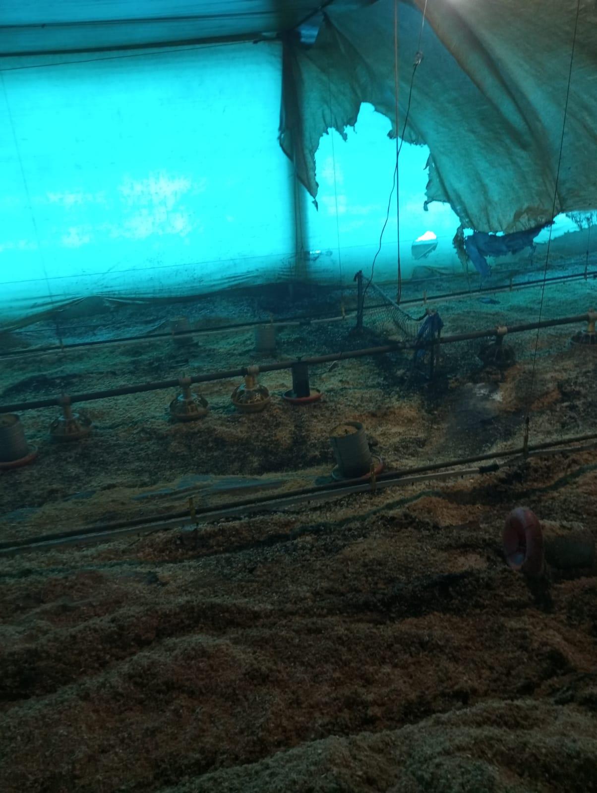 Seara: Bombeiros combatem incêndio em composta de maravalha