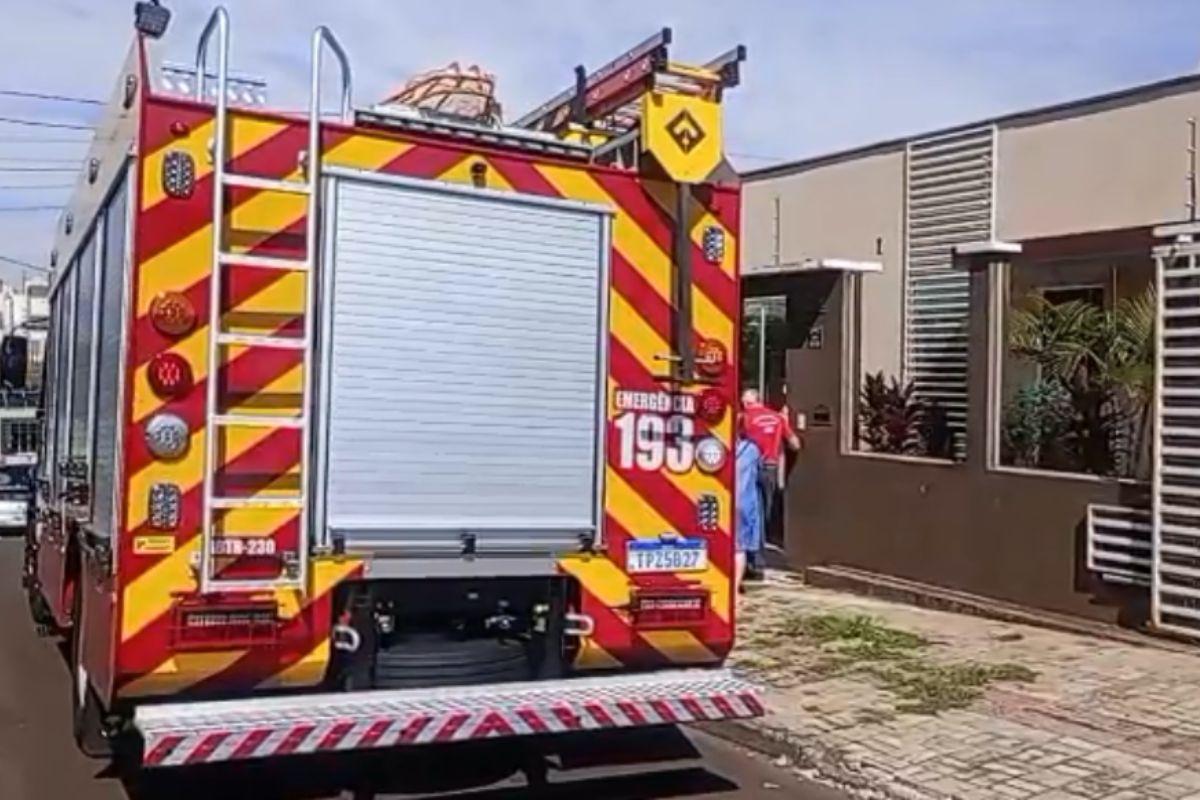 Ataque de rottweiler mata criança de 4 anos em Chapecó