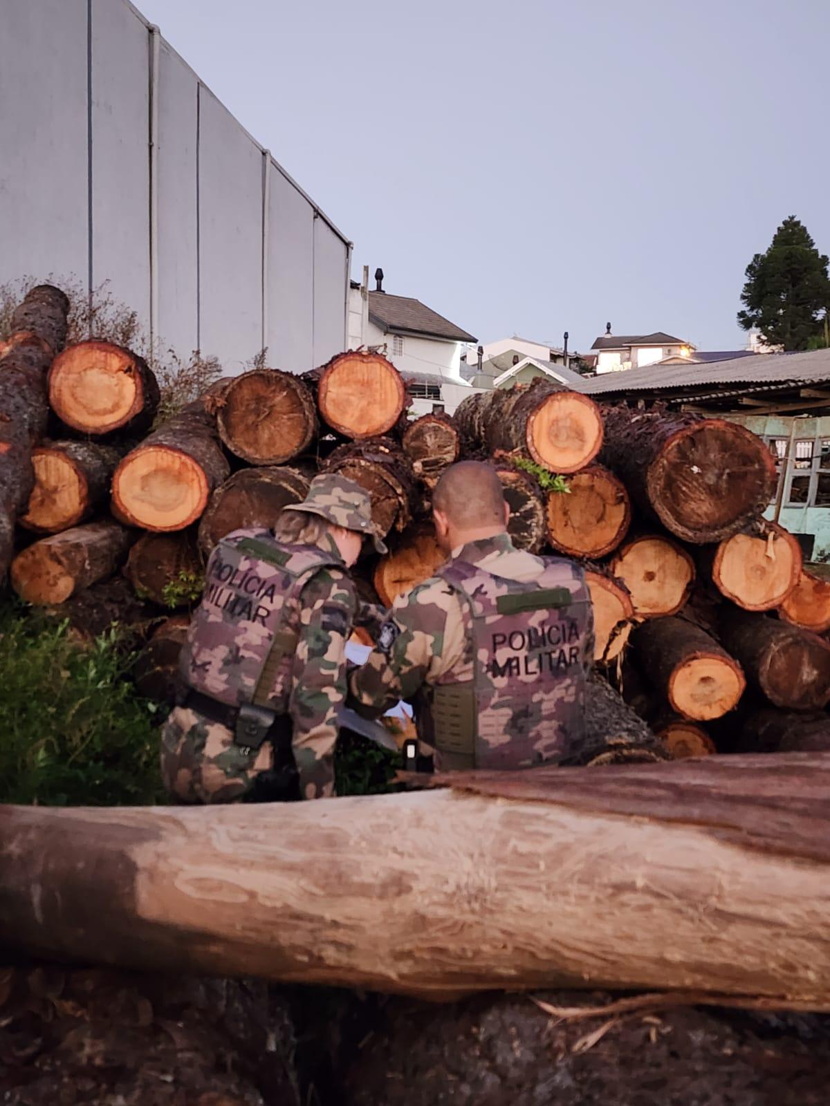 GAECO deflagra a Operação “Pinóquio” para apurar desvio de madeira apreendida e uso indevido de informações sigilosas em Lages