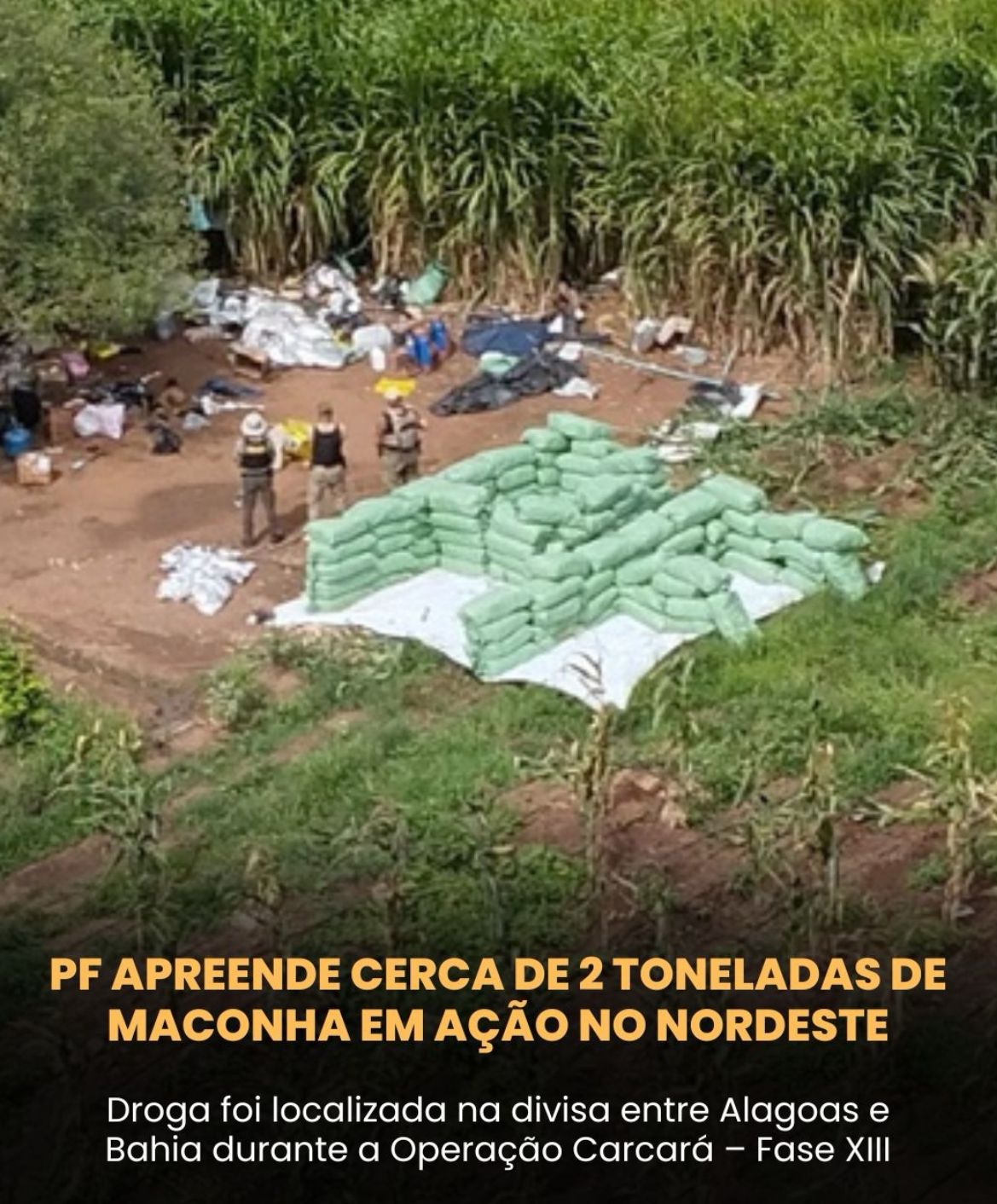 PF apreende cerca de 2 toneladas de maconha em ação no Nordeste