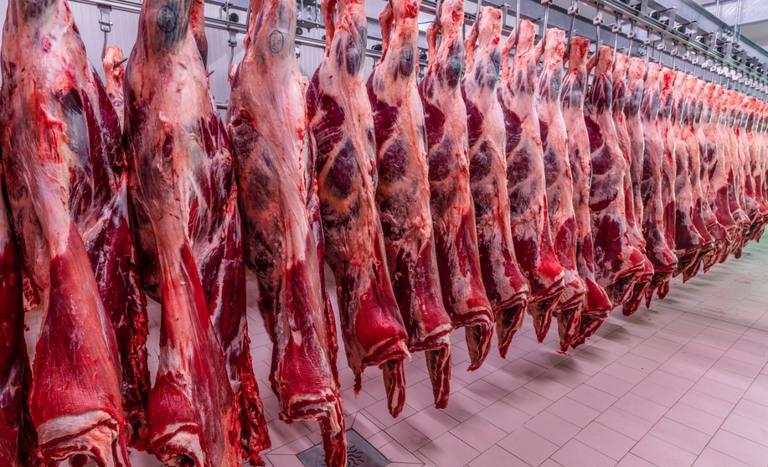 Brasil registra ALTA nas exportações de carne bovina e China AMPLIA compras