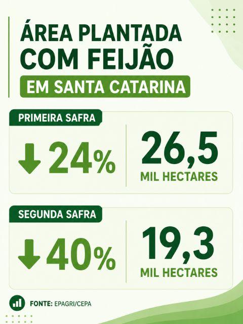 Produção e preço dos produtos agrícolas segundo a Epagri de SC