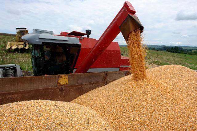 Safra brasileira de grãos pode alcançar recorde e chegar a 358 milhões de toneladas