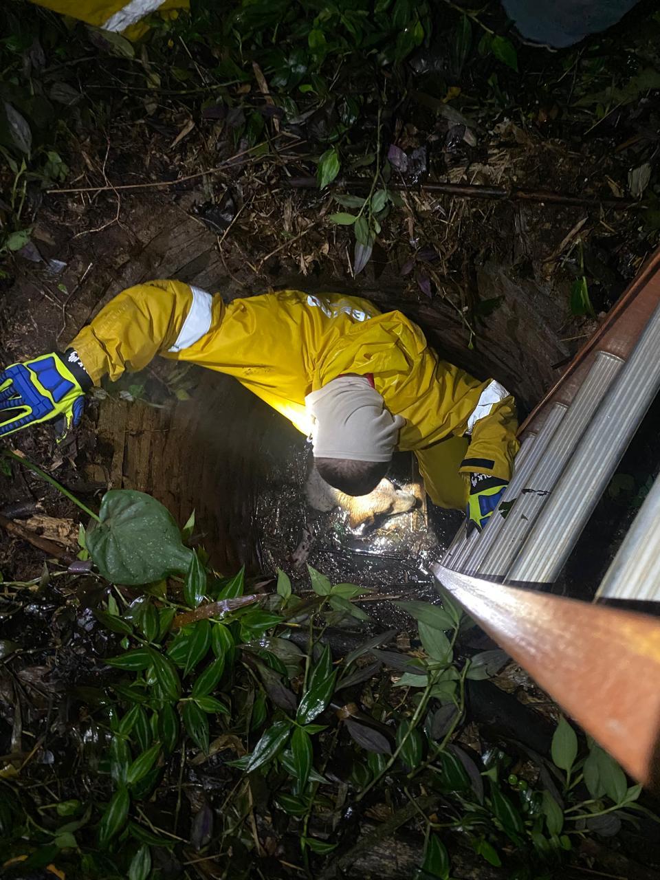 Resgate de cão preso dentro de um poço de aproximadamente 4m de profundidade no Oeste de SC