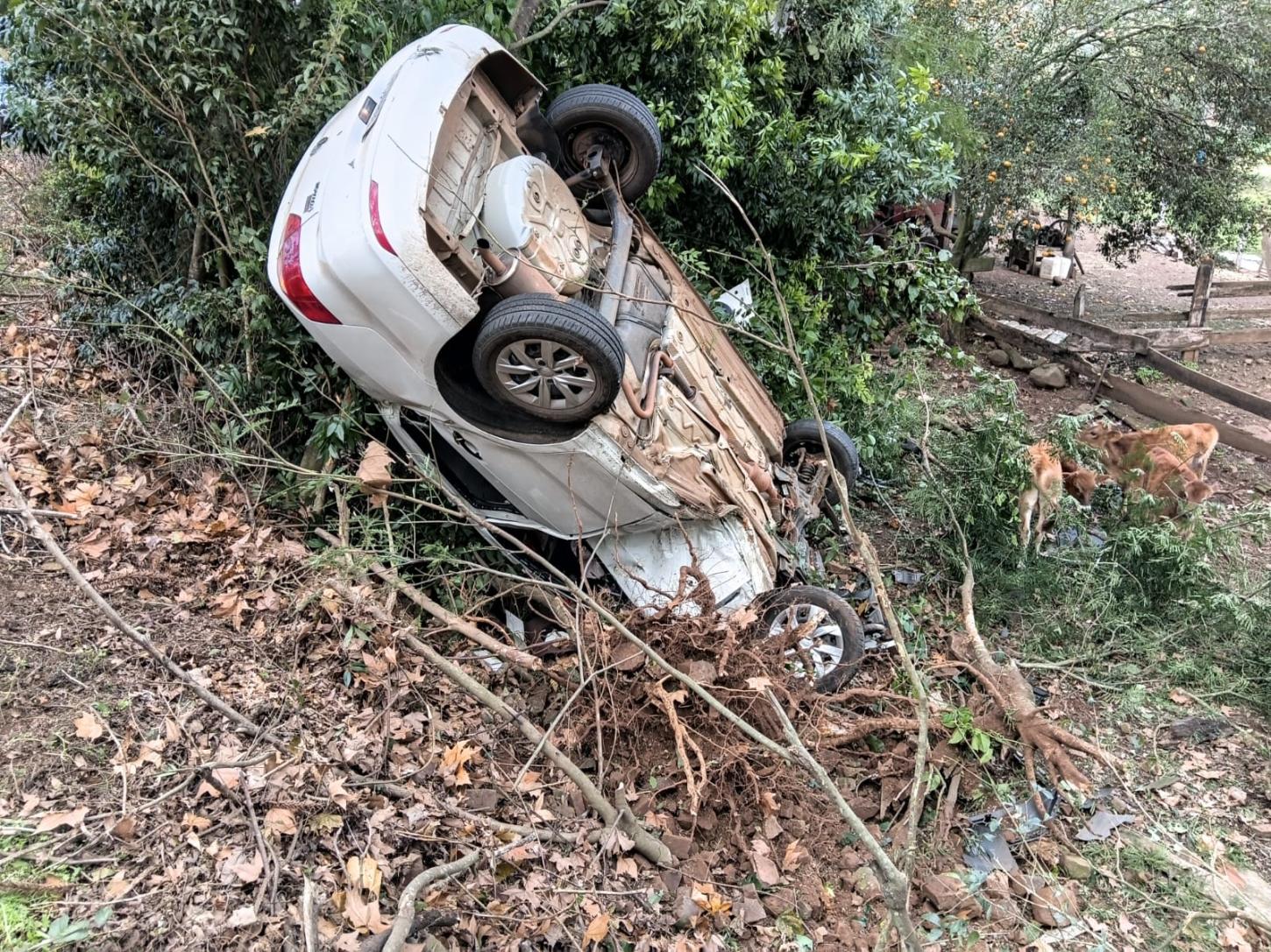 Saída de pista seguida de capotamento e queda em barranco deixa condutora ferida na SC-305