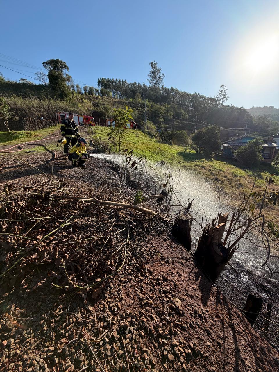 Incêndio em vegetação em Seara-SC