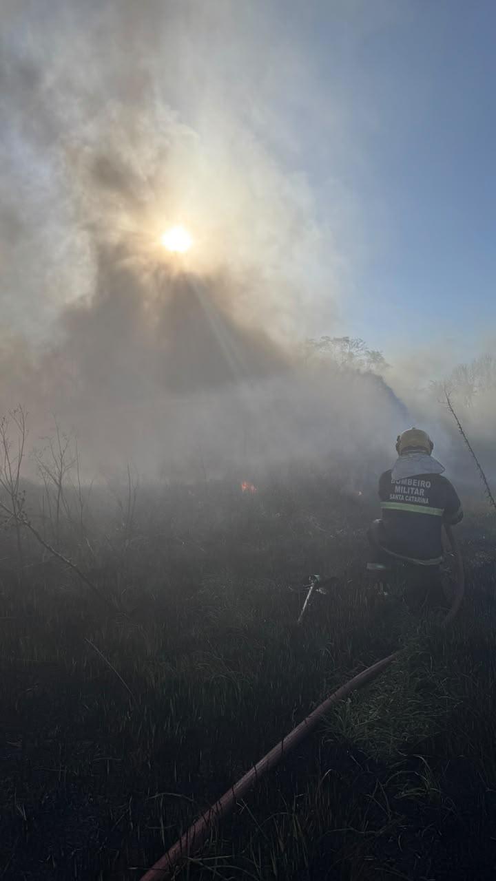 Incêndio em vegetação próximo ao estacionamento da Cooperalfa em Chapecó