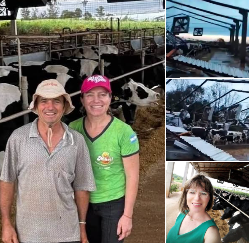 TEMPORAL DESTRÓI PROPRIEDADE DE PRODUTORA E INFLUENCIADORA NO RS