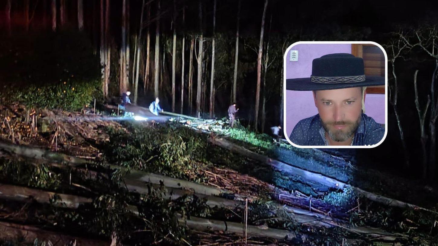 TRABALHADOR MORRE ATINGIDO POR ÁRVORE DURANTE CORTE DE EUCALIPTOS