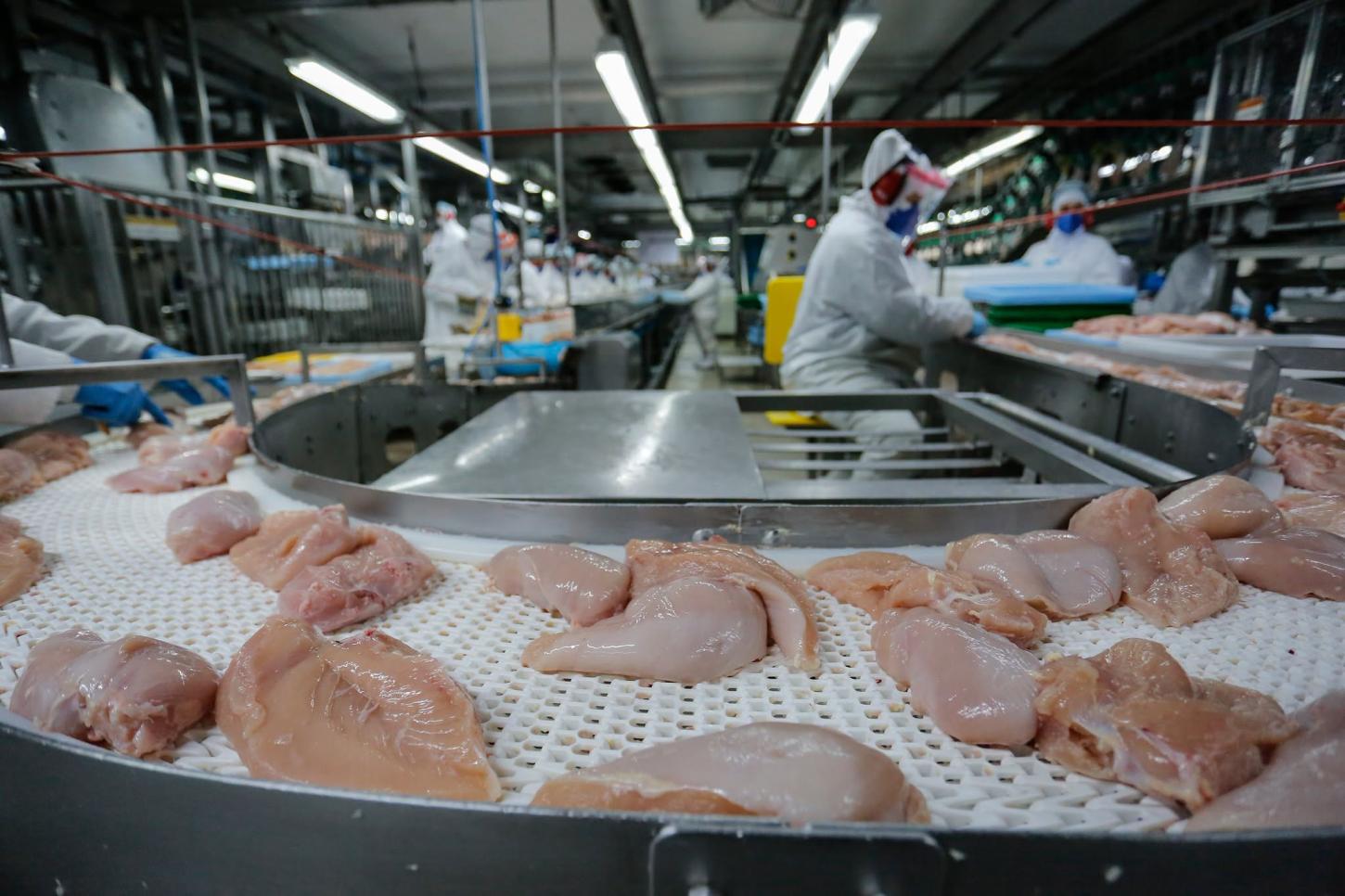 EXPORTAÇÕES DE FRANGO DISPARAM E PARANÁ LIDERA EMBARQUES