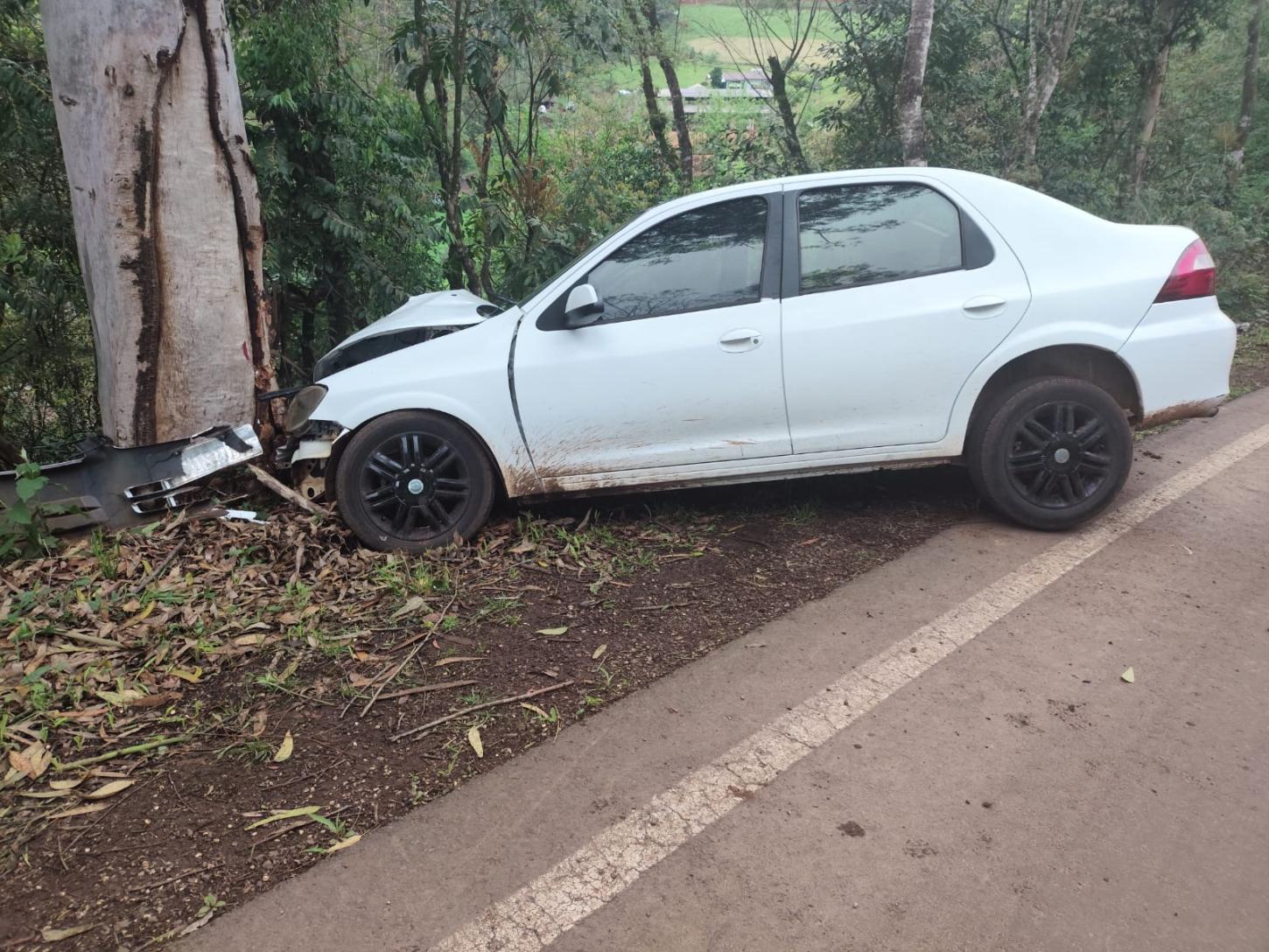 Saída de pista de veículo de passeio com choque em árvore no Acesso Sul de Quilombo