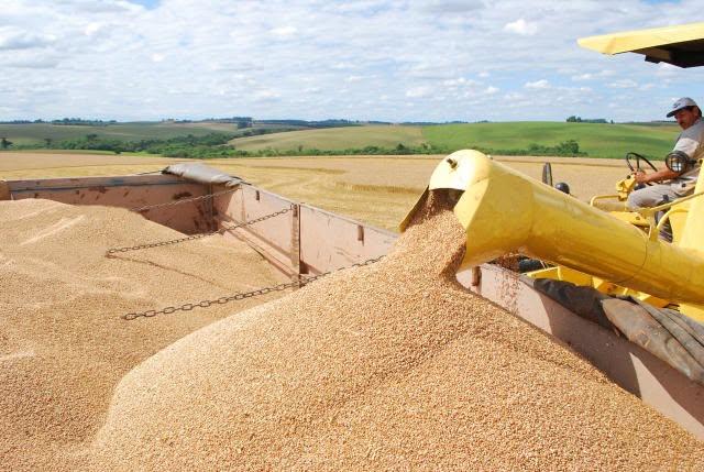 TRIGO SOBE COM OFERTA APERTADA E SEGURA O MERCADO