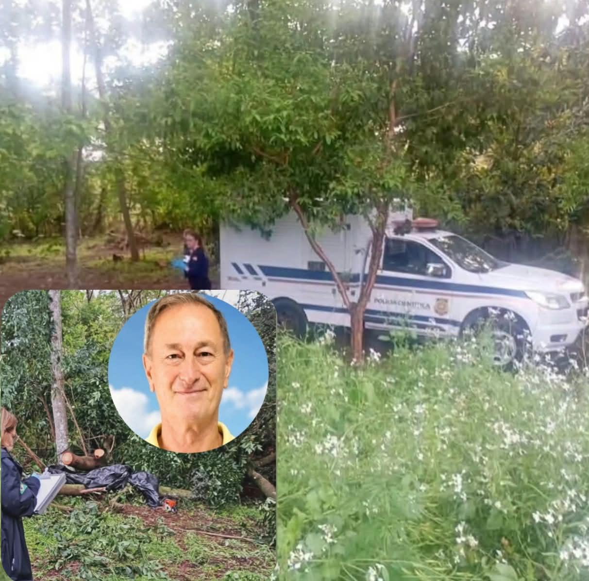 Professor aposentado (Educação Física) de 74 anos morre em Abelardo Luz ao ser atingido por árvore